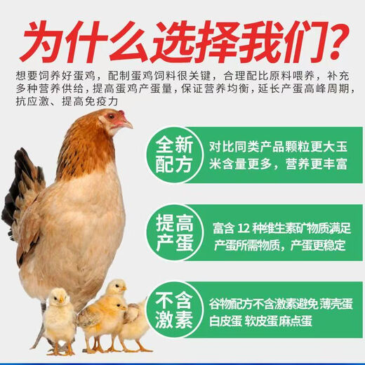 Factory direct sales 80 Jin Jin equals 0.5 kg layer hen feed for hens, egg laying broiler fattening pellets, full price nesting breeding special 10 Jin Jin equals 0.5 kg layer hen feed
