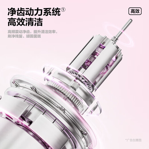 The electric toothbrush of the girl's soft hair washes the teeth, hair loss, mildew, and leakage protection, 1 toothbrush + bracket