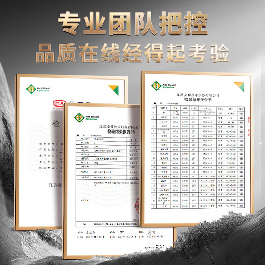 Zhengshanding Oolong Tee Schätze Mellow Phoenix Single Rose Duck Shit Duft Spezial mittelfeuer Geschenkbox Tee Qualität guter Tee [Streng ausgewählte Qualität] Spezielle Entenscheiße -Duft 500g Geschenktasche