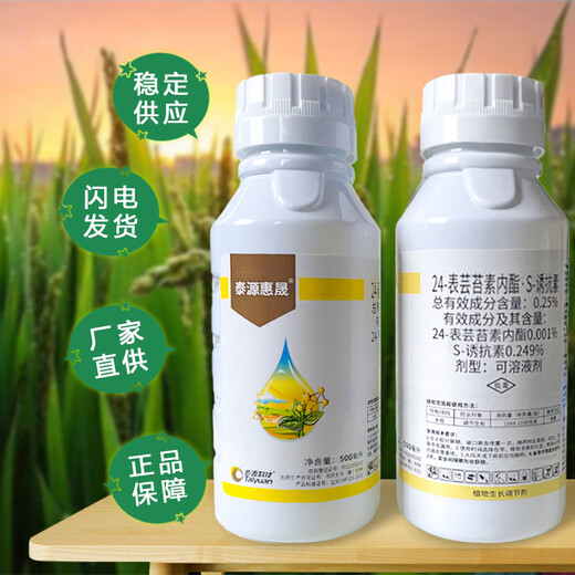 24 epi-brassinolide s inducer rice regulator 24 epi-brassinolide pesticide growth regulator 1000g