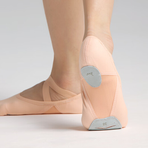 Baiwu Dance Garden Baiwu Children's Dance Shoes for Women's Soft Sole Professional Stretch Cloth Practice Dance Shoes 121131010 Meat Powder 37