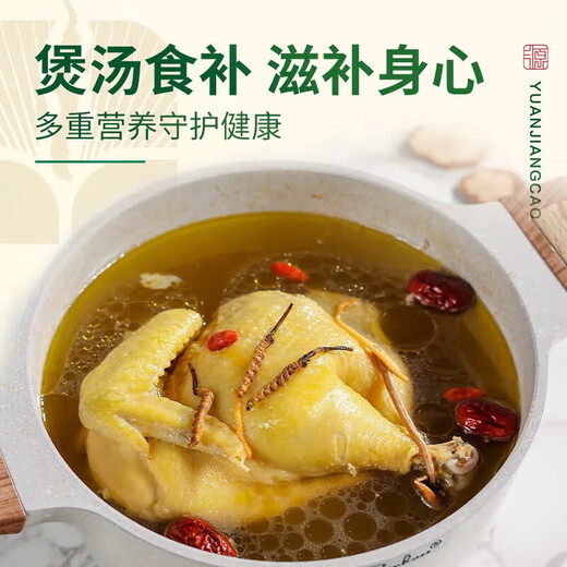 源江草冬虫夏草 新干虫草滋补品送父母长辈滋高端礼盒 3-4根/g 50克【商务礼盒】