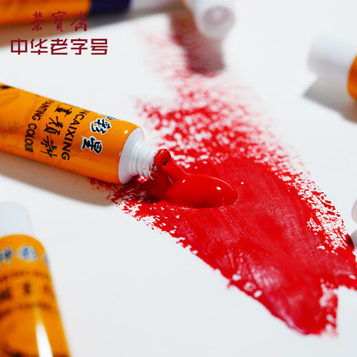 Rongbaozhai Chinese painting paint tool set for beginners, primary school students, children's ink painting, Chinese painting and hair brush entry-level set, 24 colors, practical 15-piece set (including storage box)