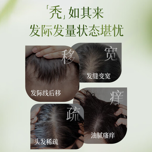 水梦令洗发水草本人参滋养控油韧发防断发丝强健官方店正品 人参洗发水1瓶
