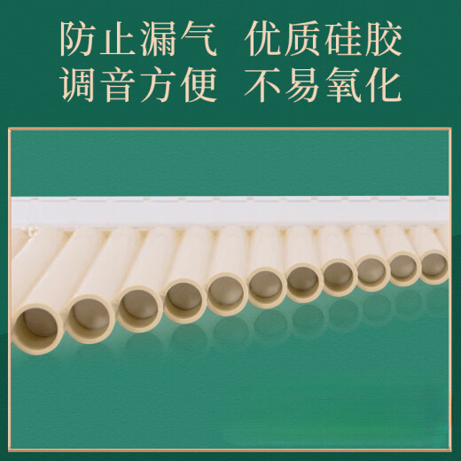 韩琴侠易学排笛 16管18管学生教学专用排箫初学者入门C调吹管乐器 18管白色