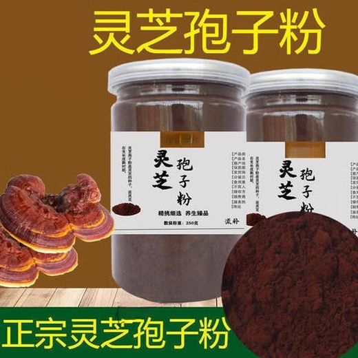 Пекин Тонгрентанг сырье Ganoderma lucidum порошок порошок головка Dou Double стена Ganoderma lucidum Порошок Аутентичный Спора Масло 500G 100G Ganoderma lucidum порошок споры [всего 500 г]