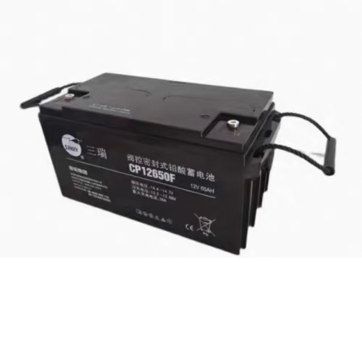 沃维谛三瑞蓄电池CP12170/12V17AH直流屏UPS电源消防应急电源监控照明灯 12V65AH