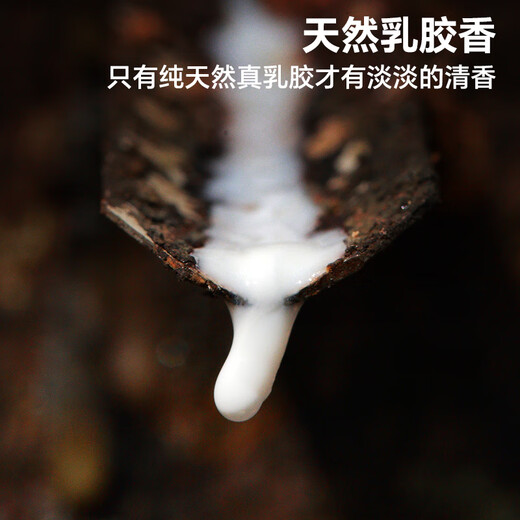 贝壳日记泰国天然儿童乳胶枕0-1-3-6岁宝宝婴儿枕头