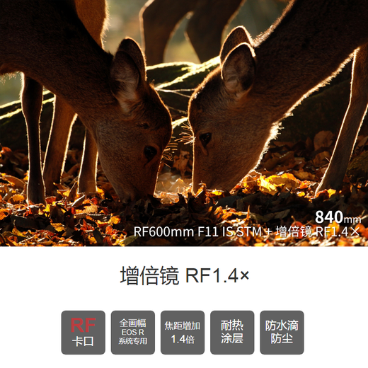 Canon RF1.4X RF Mount Bird Shooting Lens Teleconverter Extender Suitable for RF100-500mm Lens