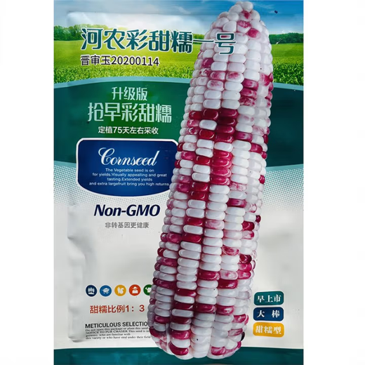 White, sweet and waxy corn seeds, high-yielding, sown in all seasons, white waxy corn, non-transferable, state-approved, farmers' super sweet and waxy corn seeds, Zhongnuo No. 2 corn seeds, original 200g, 1 bag