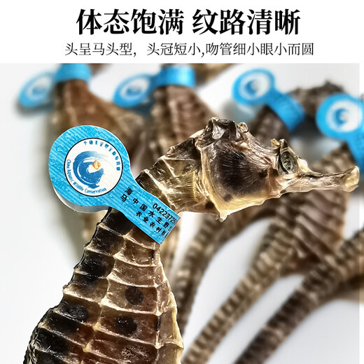 海马药材一公一母大型海马干泡酒组合六角海龙海麻雀滋补汤料礼盒 1对2克（公母2只9-11cm）