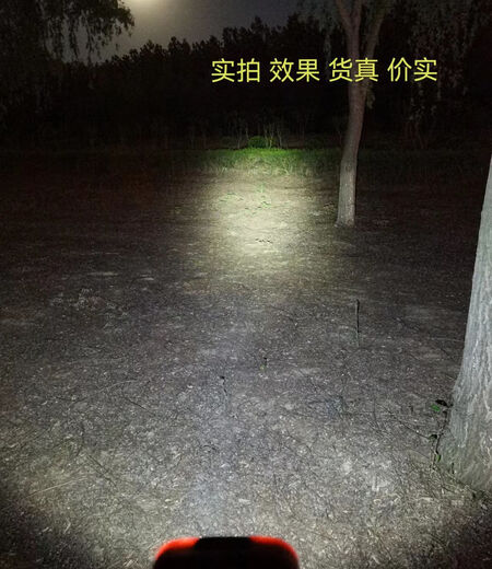 攀顶LED户外感应头灯露营夜钓头灯头戴式超亮钓鱼专用 黑色充电款682小时 带红光驱蚊