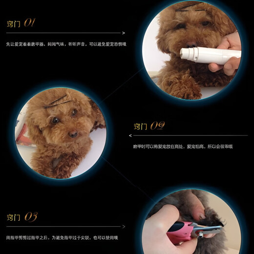 GERTHRON German pet nail grinder electric pet polishing rechargeable cat nail scissor tool kitten scratching novice special knife white with light enhanced version 500mA + replacement grinding head