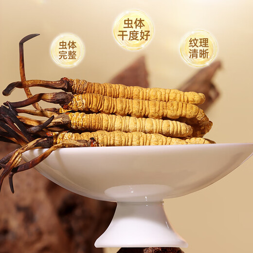 紫蓝花海【西藏那曲】正宗野生冬虫夏草新干虫草高端滋补礼盒送父母长辈 【西藏那曲甄选】野生·5条/g 10克装