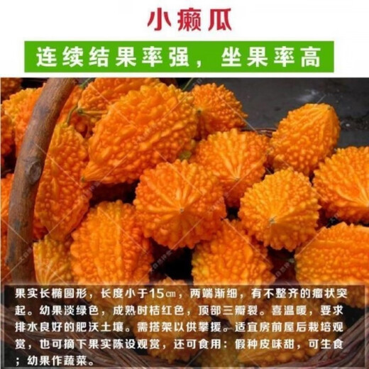 Small Seed Melon Seeds, Fruit Lai Grapes, Ley Grapes, Golden Lingzi Small Ley Melons, Small Seed Melon Seeds, 20 capsules, free organic fertilizer