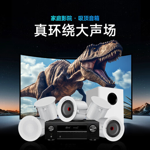 BaleY Home Cinema Audio Tianlong Amplifier Set Home Living Room TV Projection Surround Sound Subwoofer Ceiling Audio Embedded Bluetooth Ceiling Speaker 17 [Tianlong 5.1 Amplifier + K65 + S8 Subwoofer] Full Set