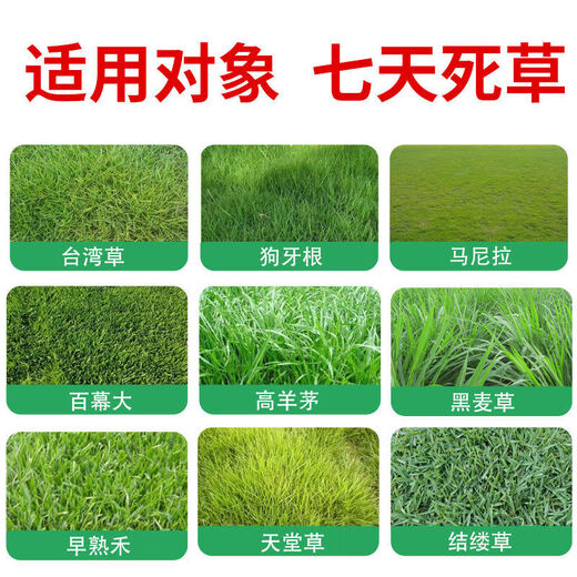 Lawn herbicide removes broadleaf weeds, Manila all-season green green grass, Bermuda bermudagrass lawn herbicide 50 ml, available for 1 acre of land