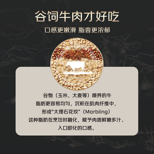 Yueshengzhai PLUS Subsidy Popular Chilled Australian Grain-Fed Beef Tendon 800g Date Super Fresh Fresh Beef
