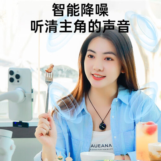 TAKSTAR V1 (second generation) wireless lavalier microphone Little Bee recording equipment online class Douyin short video eating and broadcasting SLR interview noise reduction outdoor live broadcast radio microphone Lightning version V2 one-to-two with box black