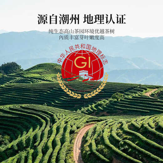 Zhongling Phoenix Dansong Duck Shit Fragrance Oolong First-class Spring Tea Authentic Chaozhou Gaoshan Dancong Self-drinking Gift 250g Canned