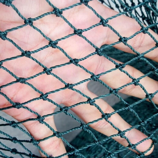 Chicken net, chicken net, fishing net, breeding net, fence net, nylon vegetable garden fence, climbing vine grid, chicken net, protective fish net, thickened 18 strands, 3 cm thick reinforced ribs, 2 meters high and 10 meters long