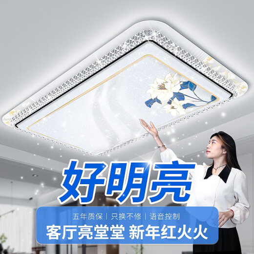 Leishi Lighting NVC2025 new 2025 new living room lights simple modern and atmospheric 2023 eye protection LED main ceiling lamp 12176 cm 192 watts APP + voice + remote control
