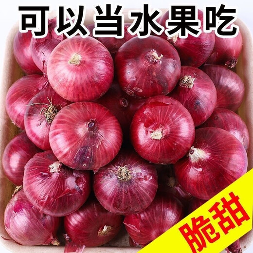 [Manger cru légèrement sucré] gansu jiuquan purppe oignon fraîche oignon rouge 5 Jin [Jin est égal à 0,5 kg] Végétables bon marché pour l'élimination du formaldéhyde, Onion de sélection de haute qualité 13586 Single 5 Jin [Jin est égal à 0,5 kg]