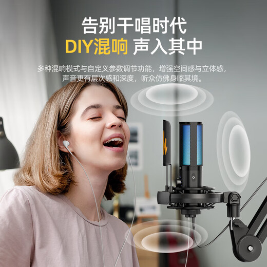 Flash microphone computer live broadcast built-in sound card professional recording dubbing game noise reduction singing radio microphone usb mobile phone condenser microphone wired desktop microphone flash microphone pm450 PM450S cantilever model comes with reverberation and sound modification-customized tone