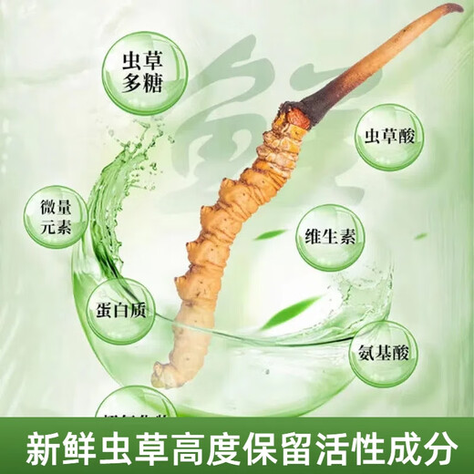 2025年头期鲜草新鲜冬虫夏草正品鲜虫草天然鲜虫草营养滋补送礼 西藏鲜草0.5-0.6克/条 20条送1条 冬虫夏草  顺丰发货