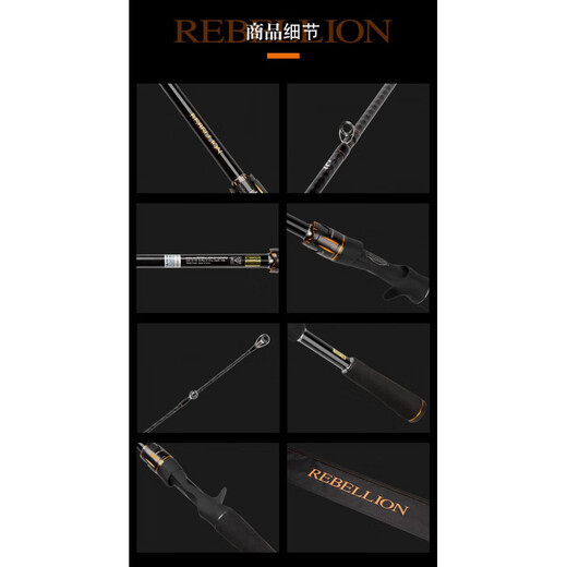达亿瓦（DAIWA）REBELLION逆霸龙路亚竿鲈鱼竿溪流竿2节钓鱼竿 2.03m 682ML+FS