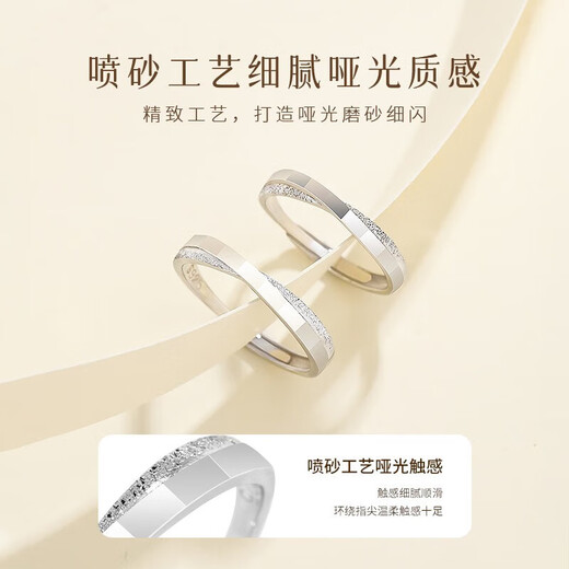 Grace Girl platinum Moebius frosted ring platinum couple ring practical birthday gift for girlfriend and wife platinum lifelong love ring