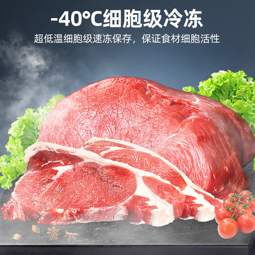 Xingxing (Xingx) Ultra-niedriger Temperatur Gewerblicher Gefrierschrank minus 40-60 Grad Horizontaler Gefrierschrank Einer Temperatur Voller Gefrierhaus mit großer Kapazität Kühlschrank tiefgekühlter Geschwindigkeitskupferrohr 718 l 丨 -40 Ultra-niedriger Temperatur mit großer Kapazität 1,94 Meter 718 l 718 l