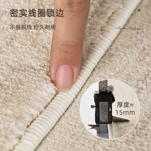 地毯卧室床边毯免洗可擦法式房间沙发茶几毯家用隔音地垫加厚防滑 晴鸢-14116 120x240cm