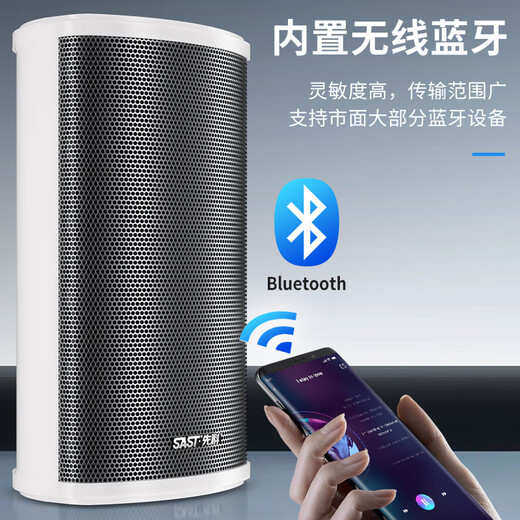 Xianke (SAST) W-802 Columna de sonido impermeable Bluetooth al aire libre, Amplificador de audio de pared al aire libre Juego de altavoces, conferencia de juegos de parques infantiles de la escuela de oradores Música de tiendas 100W