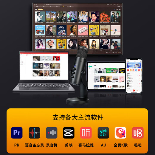Wandi Core Upgrade Audiobook Special Recording Equipment Himalaya Dubbing Microphone Online Class K Singing Live Broadcast Microphone Mobile Computer USB Noise Reduction Conference Android Apple Pro Upgraded Version - Universal for Mobile Phones and Computers Professional Recording + Built-in Sound Card