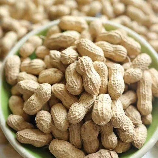 Shandong Haihua No. 1 Peanut Seed Academy of Agricultural Sciences Thin-shell Large Peanut Seed Wholesale 3Jin Jin equals 0.5kg