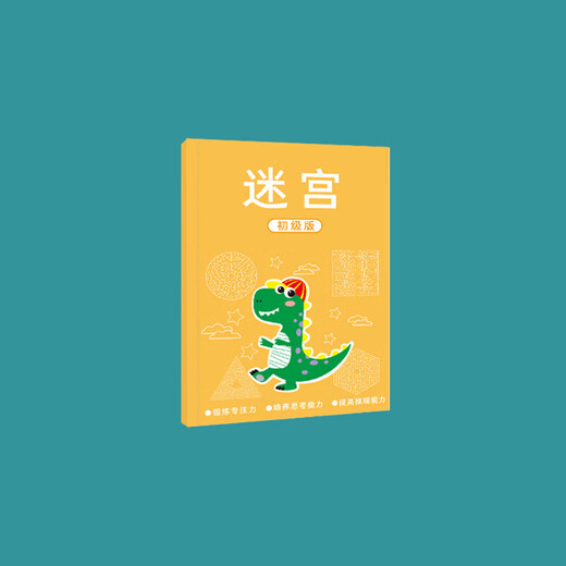 儿童迷宫训练书逻辑思维早教玩具益智游戏多功能早教启智学习神器 迷宫训练书【高级款】单本