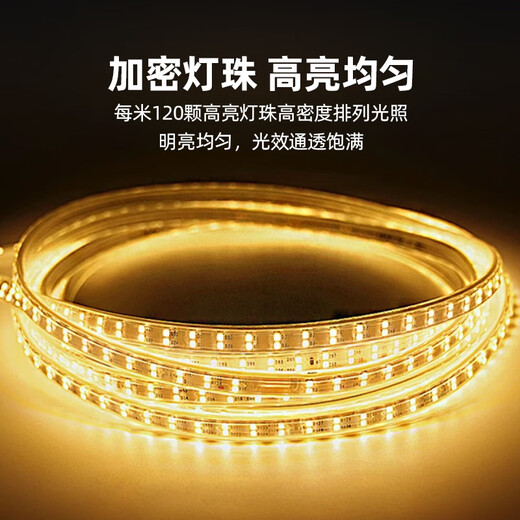 The best 220v high-voltage lamp with outdoor lighting waterproof lamp hotel villa project super bright strip decorative linear lamp 5 meters-220V/10W-120 beads double row-warm light
