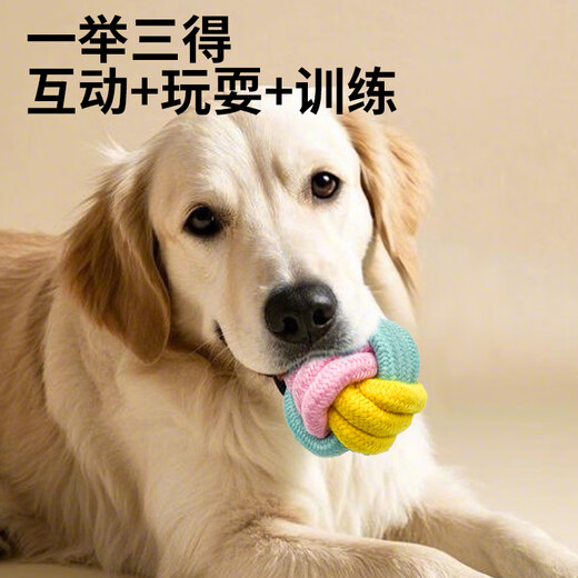 ZanChong Macaron Cotton Rope Teething Dog Toy 4-piece Set Dog Toy Bite-Resistant Teething Ball Pet Puppies Little Self-Happiness