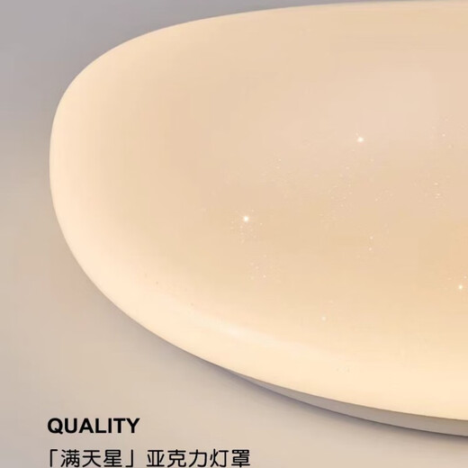 XMSJ吸顶灯卧室北欧风满天星艺术灯罩全光谱走廊书房灯 1W 全光谱RA9738CM三色变光