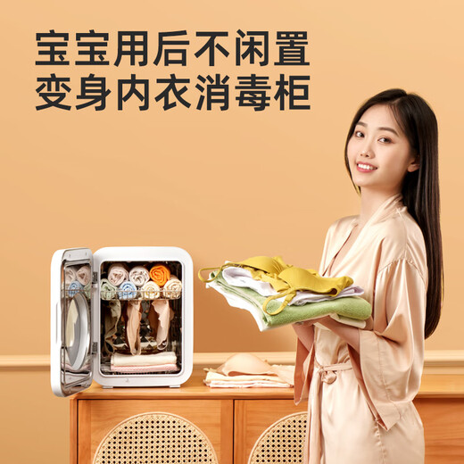 Baby Color消毒柜婴儿奶瓶消毒器带烘干一体机紫外线奶瓶消毒柜宝宝家用 22L 飞利浦双灯+HEPA过滤+可视窗