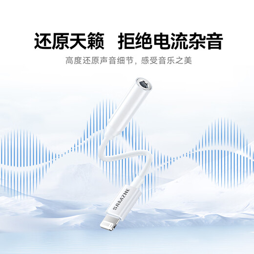 山泽苹果耳机转换线 Lightning转3.5mm  耳机3.5转接头 适用于iPhone手机音频转换 LT352-P