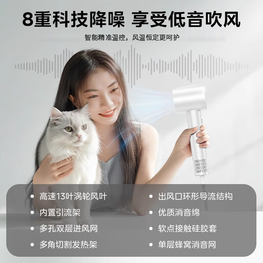 Syouran hair dryer home silent enjoyment bass negative ion high power non-damaging hair dryer hair dryer high-speed leafless hair dryer Huaqiangbei 520 Valentine's Day gift for girlfriend Knight Gray comes with stand + air nozzle Billion-level negative ion / constant temperature hair care