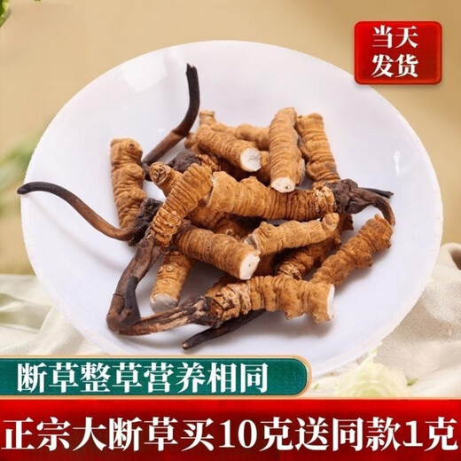 Cordyceps sinensis broken grass authentic first-rate Cordyceps in Tibetan areas home-packed self-eating first choice 10 grams get 1 gram more buy more buy more buy more buy more buy more buy 60 grams get 6 grams