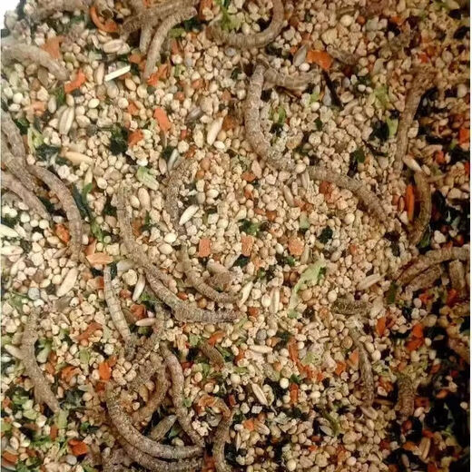 Special feed for rutin chickens, rutin chicken egg production feed, mealworm brooding feed, quail feed, high protein 10Jin Jin is equal to 0.5kg, egg production food containing mealworms, dried vegetables