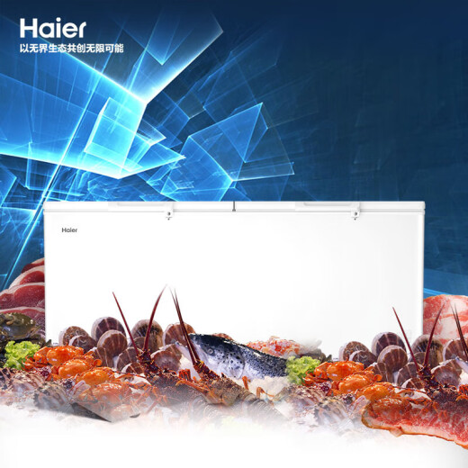 海尔（Haier） 【新】冰柜 卧式冷冻柜 大富豪商用冷藏冷冻转换保鲜柜 顶开门大容量冰柜 829GHEP -38℃超低温PCM内胆 829L