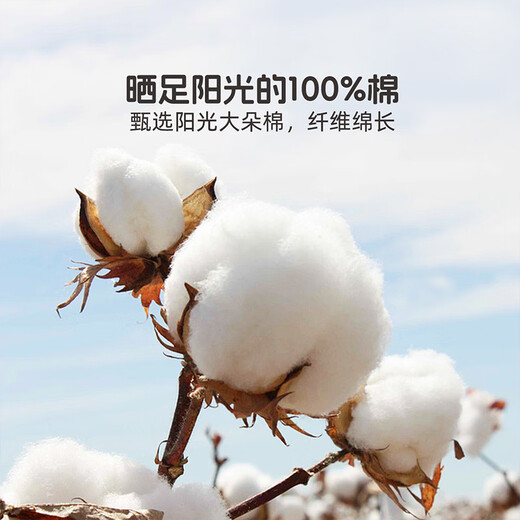 Mercury children's quilt cover 100% cotton quilt cover single piece single and double quilt cover student dormitory quilt cover type A pure cotton quilt cover pure cotton infant type A Meiyi 150cm*210cm