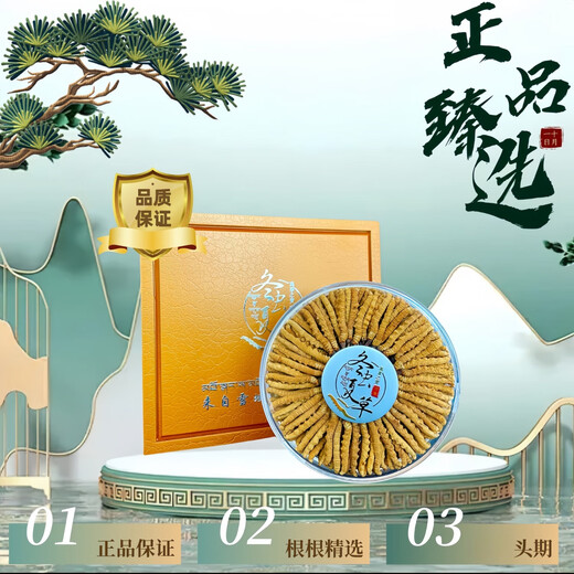 Selected authentic snow mountain cordyceps sinensis genuine first-stage fresh cordyceps 50g gift box for 4 pieces/gram dry goods 50 pieces of Cordyceps in Tibet 4 pieces/gram