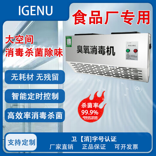 IGENU wall-mounted ozone generator industrial commercial disinfection machine food factory breeding farm garbage room laboratory hospital school canteen restaurant kitchen sterilization and odor removal 10g/h upgraded intelligent timing