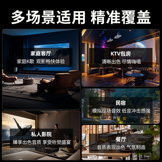 JBL national subsidy Pasion8 professional home ktv audio set theater home karaoke speaker karaoke singing complete set of equipment ktv equipment complete set